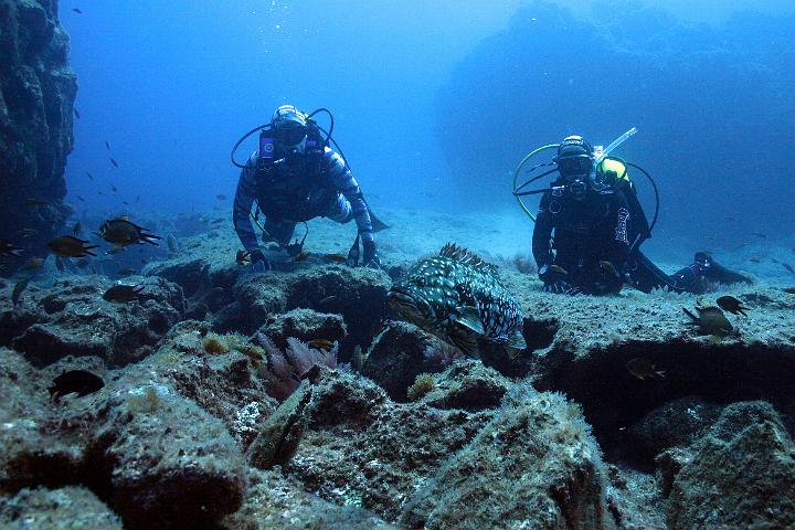 Mergulho 073.jpg